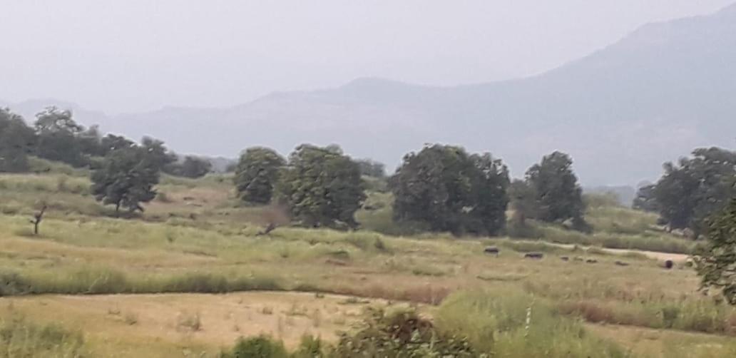 Karjat Mountain Villa Екстер'єр фото